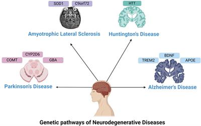 Pharmacogenomics for neurodegenerative disorders - a focused review